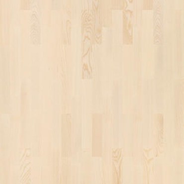 TH_3_Strip_ASH_ARCTIC